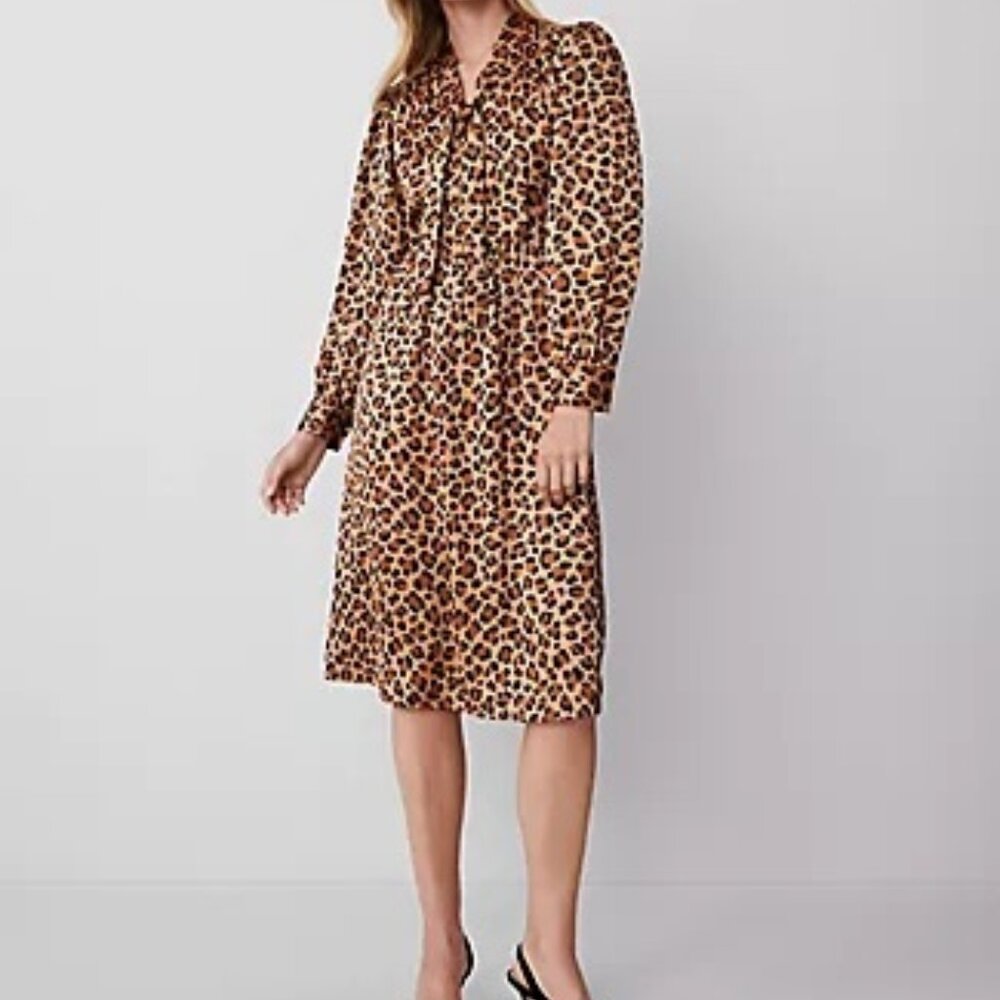 Ann Taylor Leopard Print Long Sleeve Dress